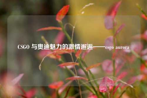 CSGO 与奥迪魅力的激情邂逅——csgo aurora
