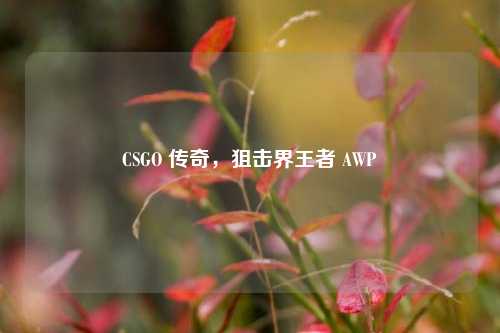 CSGO 传奇，狙击界王者 AWP