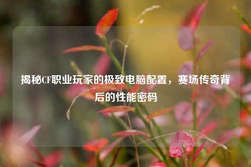 揭秘CF职业玩家的极致电脑配置,赛场传奇背后的性能密码