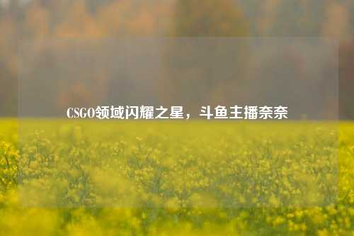 CSGO领域闪耀之星，斗鱼主播奈奈