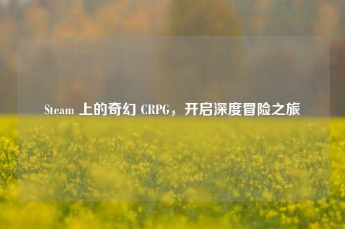 Steam 上的奇幻 CRPG,开启深度冒险之旅
