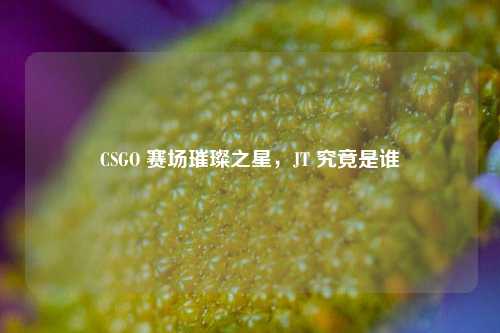 CSGO 赛场璀璨之星，JT 究竟是谁