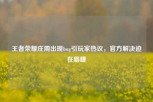 王者荣耀庄周出现bug引玩家热议，官方解决迫在眉睫