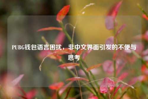 PUBG钱包语言困扰，非中文界面引发的不便与思考