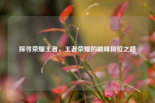 探寻荣耀王者,王者荣耀的巅峰段位之路
