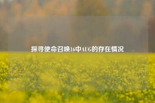 探寻使命召唤16中AUG的存在情况