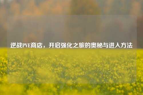 逆战PVE商店,开启强化之旅的奥秘与进入方法
