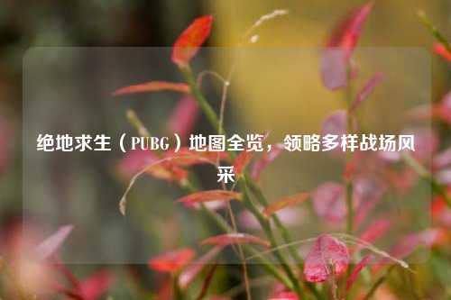 绝地求生(PUBG)地图全览,领略多样战场风采
