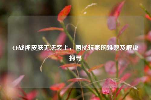 CF战神皮肤无法装上,困扰玩家的难题及解决探寻