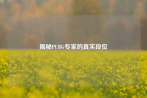 揭秘PUBG专家的真实段位