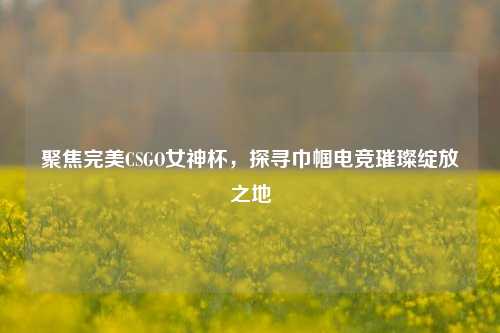 聚焦完美CSGO女神杯，探寻巾帼电竞璀璨绽放之地