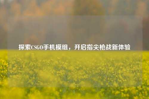 探索CSGO手机模组,开启指尖枪战新体验
