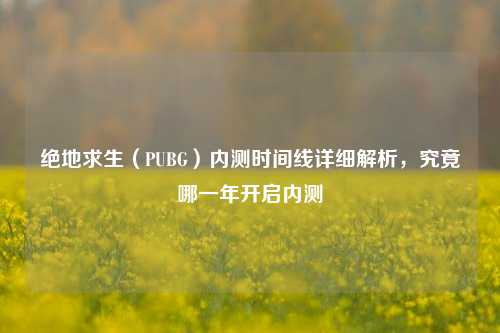 绝地求生（PUBG）内测时间线详细解析，究竟哪一年开启内测