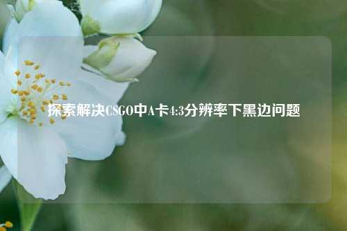 探索解决CSGO中A卡4:3分辨率下黑边问题