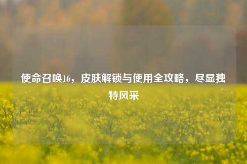 使命召唤16，皮肤解锁与使用全攻略，尽显独特风采