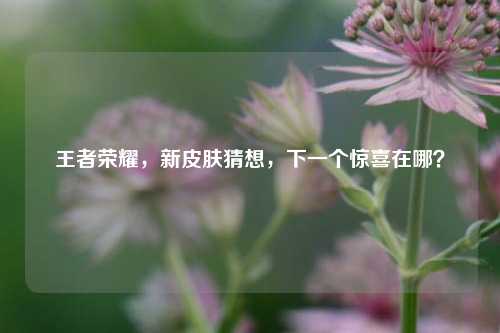 王者荣耀，新皮肤猜想，下一个惊喜在哪？