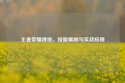 王者荣耀庞统,技能揭秘与实战应用