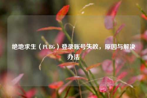 绝地求生(PUBG)登录账号失败,原因与解决办法