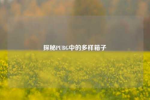 探秘PUBG中的多样箱子