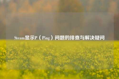 Steam显示P（Ping）问题的排查与解决疑问