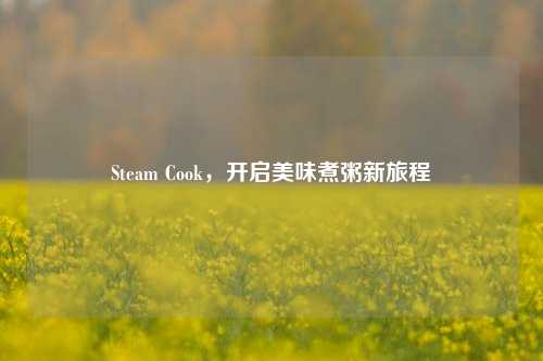 Steam Cook,开启美味煮粥新旅程