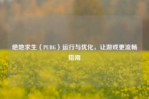 绝地求生(PUBG)运行与优化,让游戏更流畅指南