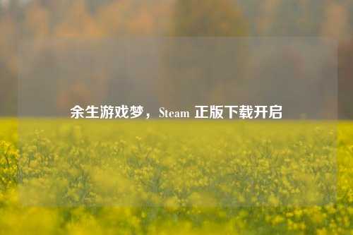 余生游戏梦,Steam 正版下载开启