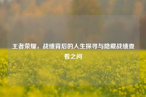 王者荣耀,战绩背后的人生探寻与隐藏战绩查看之问
