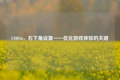 COD16,右下角设置——优化游戏体验的关键