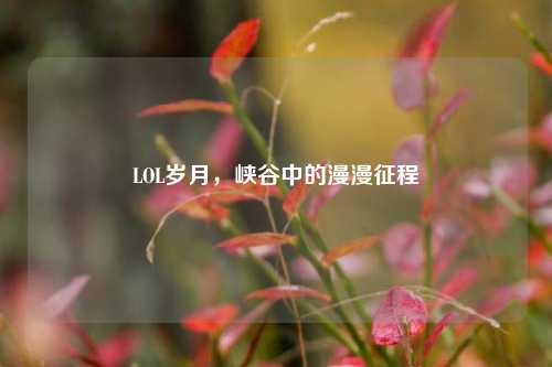LOL岁月,峡谷中的漫漫征程