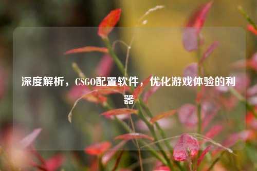 深度解析，CSGO配置软件，优化游戏体验的利器