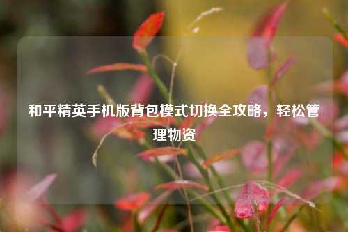 和平精英手机版背包模式切换全攻略,轻松管理物资