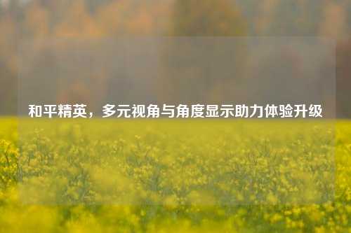 和平精英,多元视角与角度显示助力体验升级