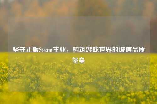 坚守正版Steam主业,构筑游戏世界的诚信品质堡垒