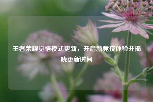 王者荣耀觉悟模式更新,开启新竞技体验并揭晓更新时间