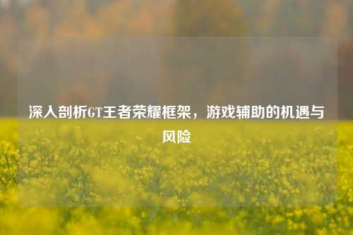 深入剖析GT王者荣耀框架,游戏辅助的机遇与风险