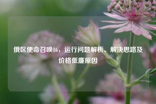 俄区使命召唤16,运行问题解析、解决思路及价格低廉原因