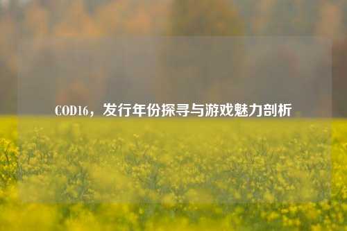 COD16，发行年份探寻与游戏魅力剖析