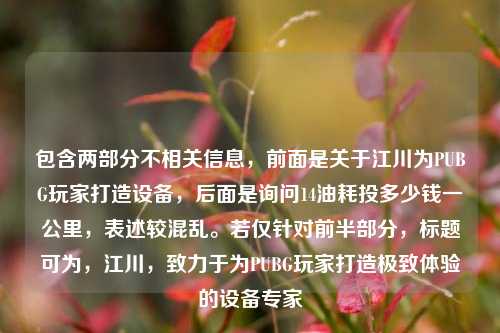包含两部分不相关信息,前面是关于江川为PUBG玩家打造设备,后面是询问14油耗投多少钱一公里,表述较混乱。若仅针对前半部分,标题可为,江川,致力于为PUBG玩家打造极致体验的设备专家