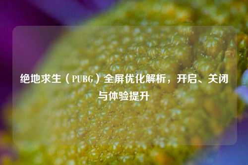 绝地求生(PUBG)全屏优化解析,开启、关闭与体验提升