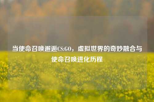 当使命召唤邂逅CS:GO,虚拟世界的奇妙融合与使命召唤进化历程