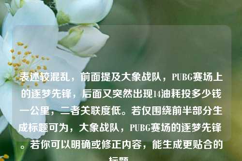 表述较混乱,前面提及大象战队,PUBG赛场上的逐梦先锋,后面又突然出现14油耗投多少钱一公里,二者关联度低。若仅围绕前半部分生成标题可为,大象战队,PUBG赛场的逐梦先锋 。若你可以明确或修正内容,能生成更贴合的标题。