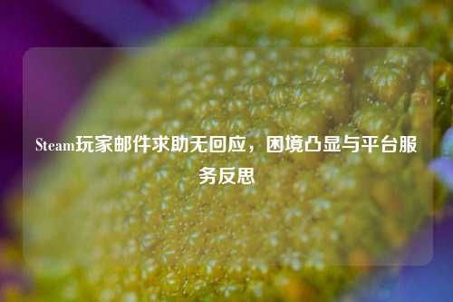 Steam玩家邮件求助无回应,困境凸显与平台服务反思