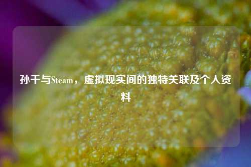 孙千与Steam,虚拟现实间的独特关联及个人资料