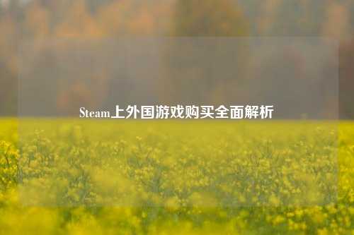 Steam上外国游戏购买全面解析