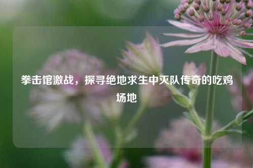 拳击馆激战,探寻绝地求生中灭队传奇的吃鸡场地