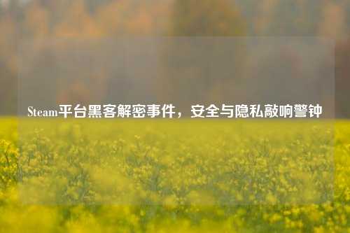 Steam平台黑客解密事件,安全与隐私敲响警钟