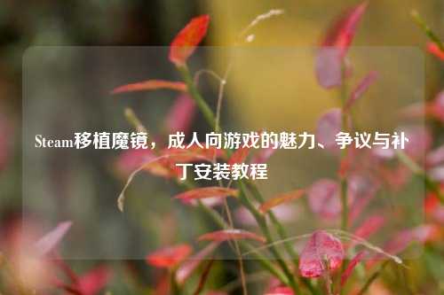 Steam移植魔镜，成人向游戏的魅力、争议与补丁安装教程