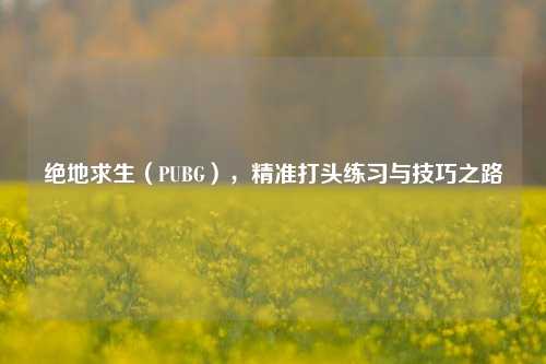 绝地求生（PUBG），精准打头练习与技巧之路