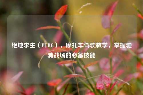 绝地求生（PUBG），摩托车驾驶教学，掌握驰骋战场的必备技能